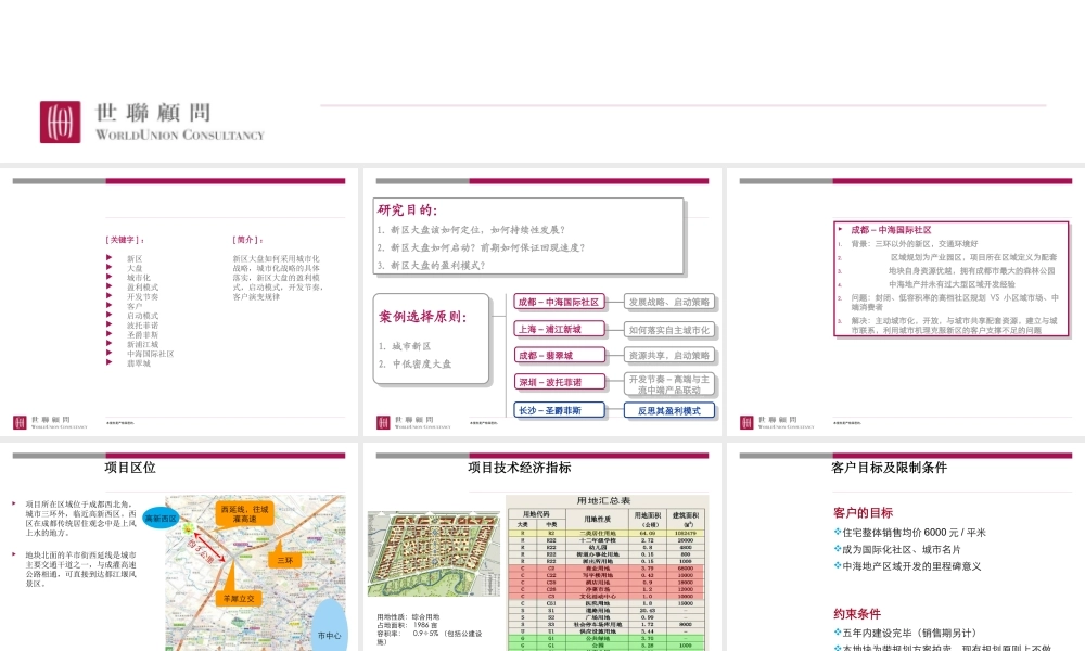 世联上海浦东新区大盘项目城市化规划设计与发展战略
