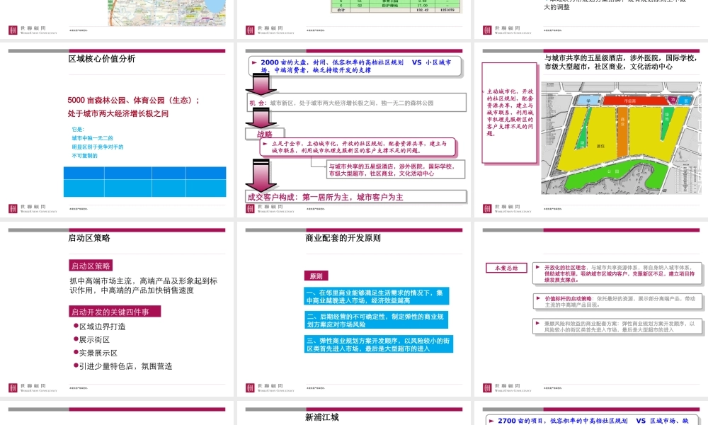 世联上海浦东新区大盘项目城市化规划设计与发展战略