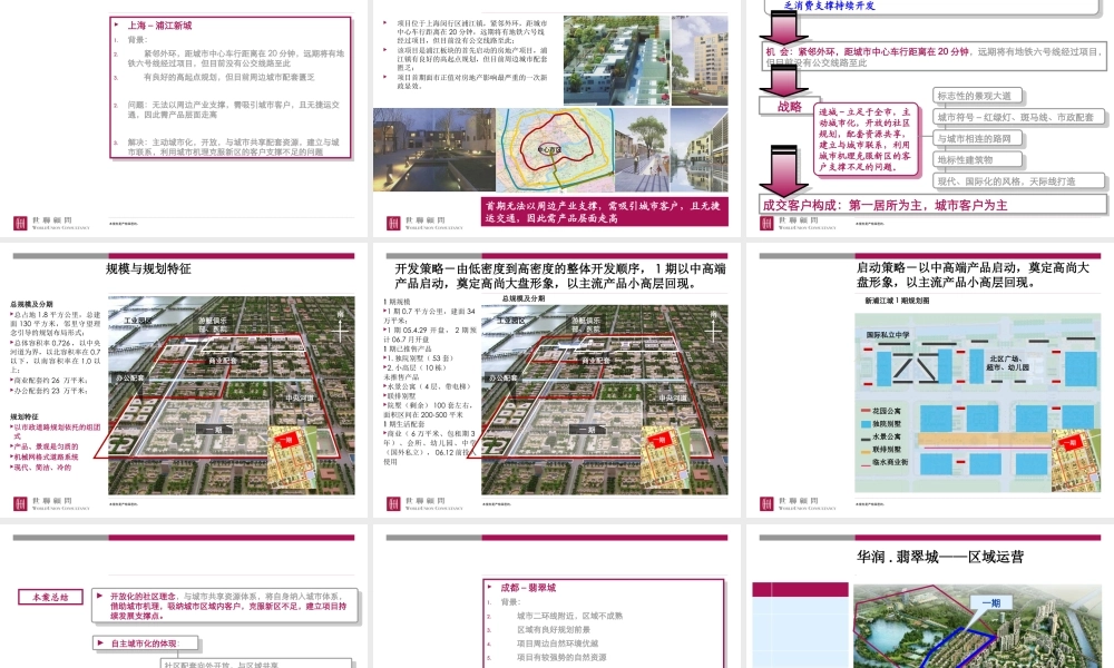 世联上海浦东新区大盘项目城市化规划设计与发展战略