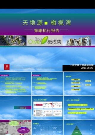世联-上海天地源橄榄湾策略执行报告-144PPT
