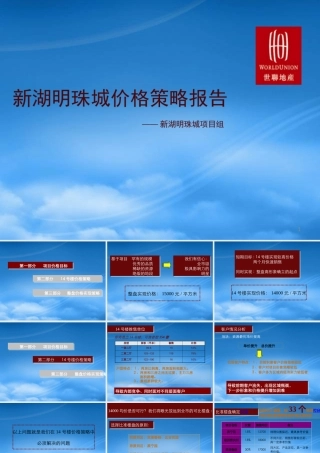 世联-上海新湖明珠城价格策略报告-53PPT