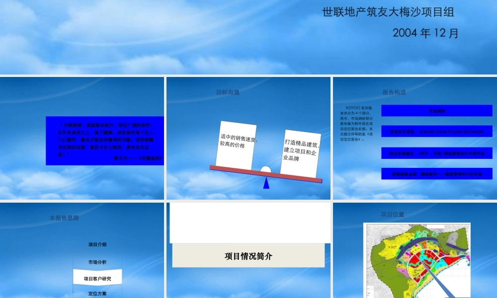世联-深圳KOYOO大梅沙项目定位报告-150PPT