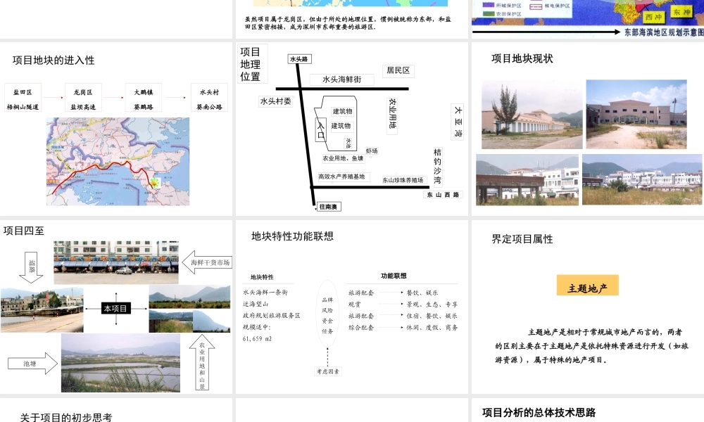 世联-深圳东部慢城项目前期策划顾问报告136PPT