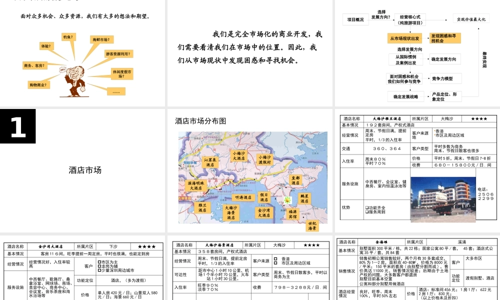 世联-深圳东部慢城项目前期策划顾问报告136PPT