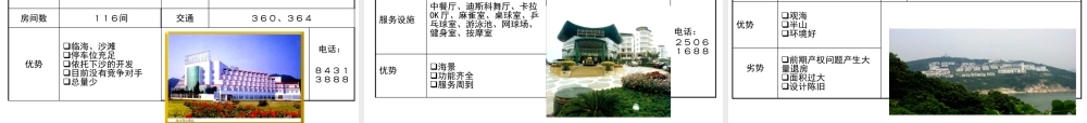 世联-深圳东部慢城项目前期策划顾问报告136PPT