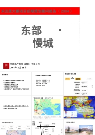 世联-深圳东部慢城项目前期策划顾问报告136PPT