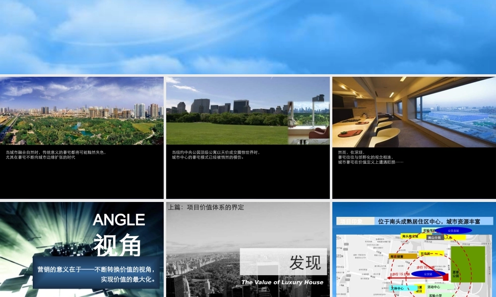 世联-深圳南山项目产品定位报告商业街定位_182P