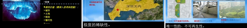世联-深圳南山项目产品定位报告商业街定位_182P