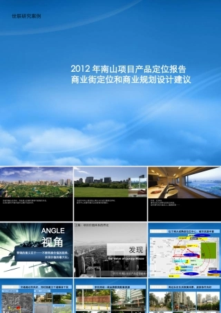 世联-深圳南山项目产品定位报告商业街定位_182P