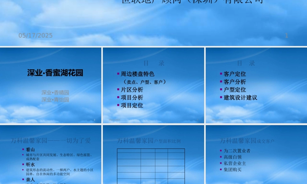 世联-深圳深业竹子林项目定位战略思考