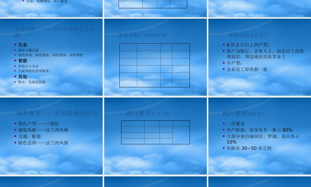 世联-深圳深业竹子林项目定位战略思考
