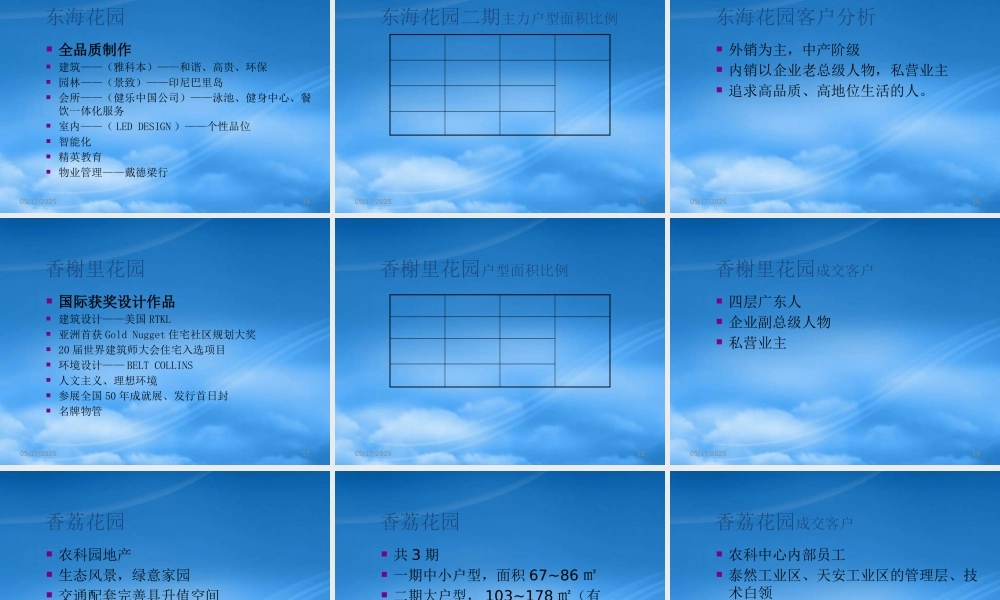 世联-深圳深业竹子林项目定位战略思考