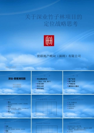 世联-深圳深业竹子林项目定位战略思考