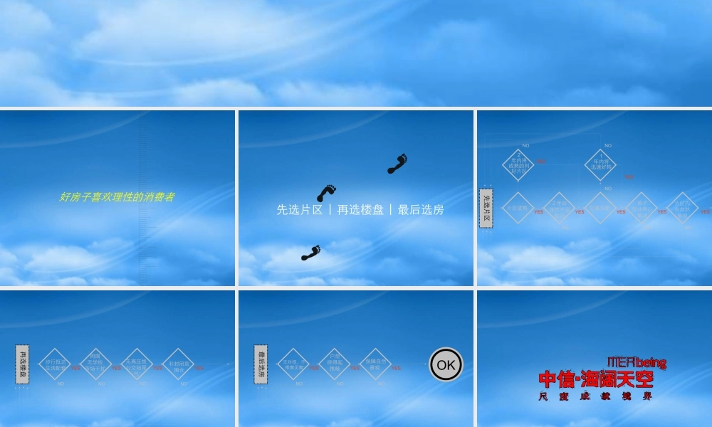 世联-深圳市南硅谷中信海阔天空项目提案-53PPT