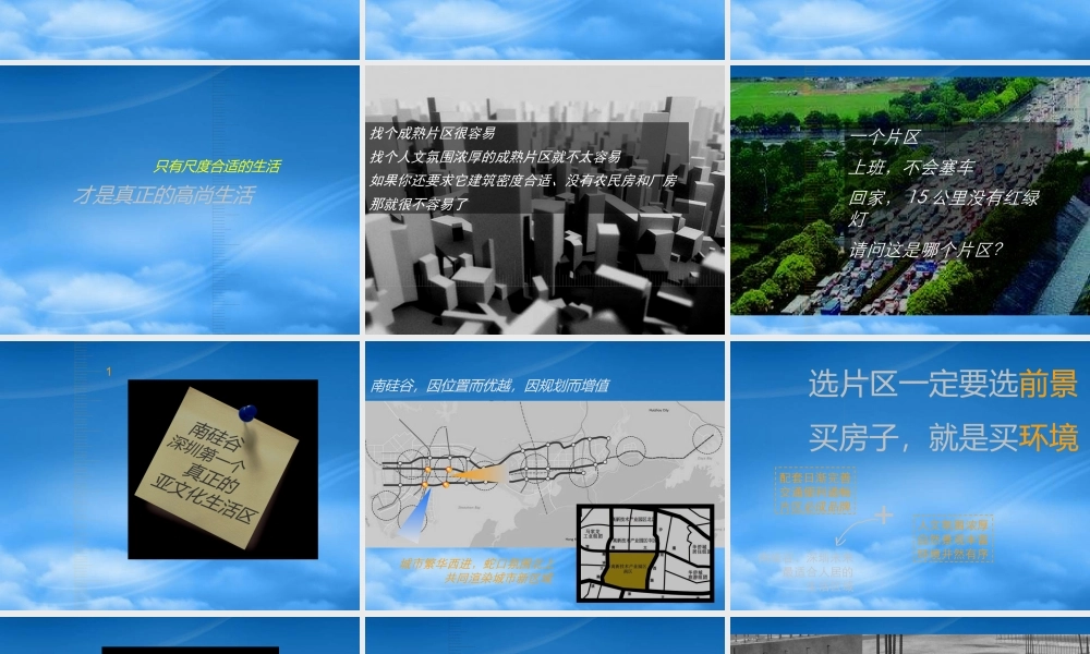 世联-深圳市南硅谷中信海阔天空项目提案-53PPT