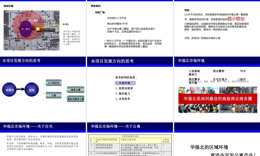 世联-深圳市燕南路项目前期策划报告120页