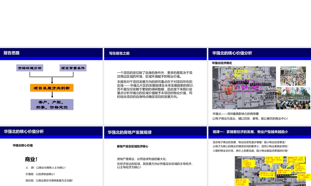 世联--深圳市燕南路项目前期策划报告120页