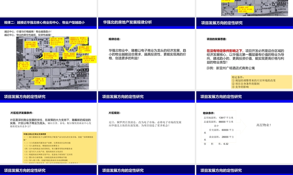 世联--深圳市燕南路项目前期策划报告120页