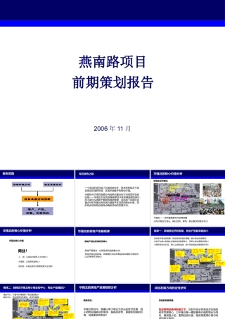 世联--深圳市燕南路项目前期策划报告120页