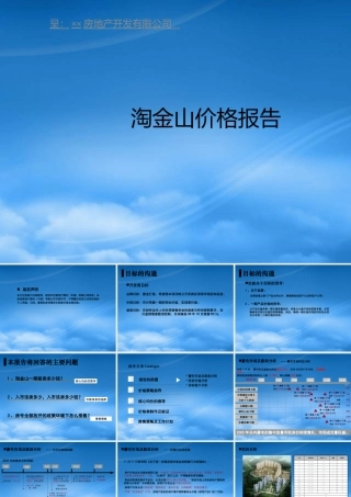 世联-深圳淘金山别墅项目价格报告-41PPT