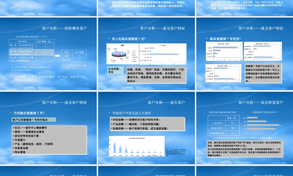 世联-深圳香蜜湖1号别墅项目营销思路探讨