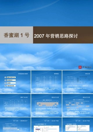 世联-深圳香蜜湖1号别墅项目营销思路探讨