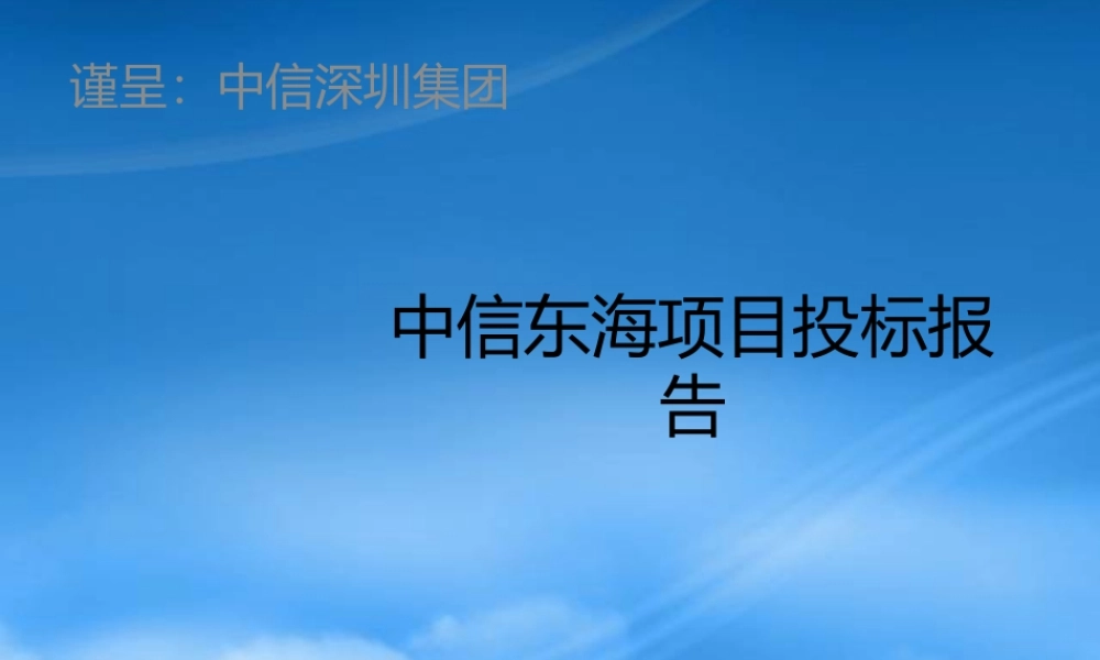 世联-深圳中信东海商业综合体项目竞标报告-147PPT