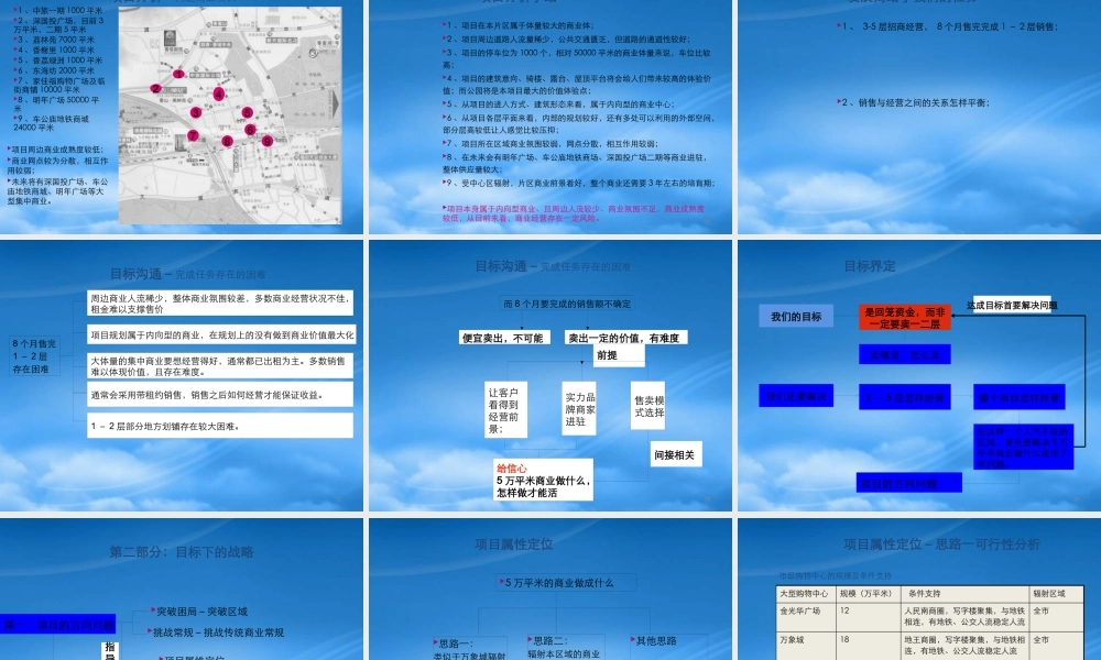 世联-深圳中信东海商业综合体项目竞标报告-147PPT