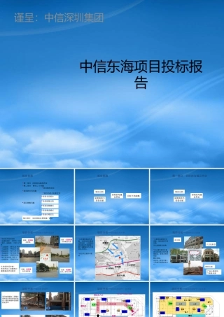 世联-深圳中信东海商业综合体项目竞标报告-147PPT