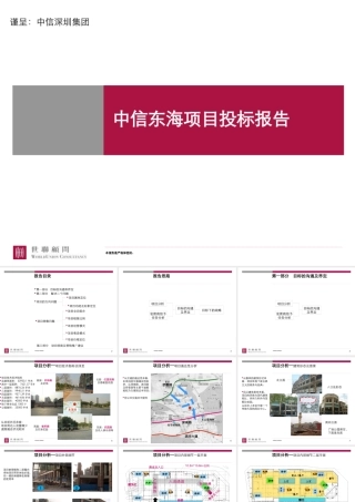世联-深圳中信东海项目投标报告147页