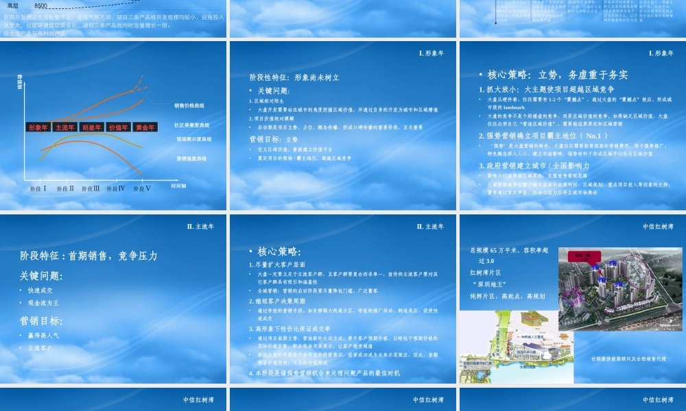 世联-沈阳翰文外滩项目营销准备阶段沟通