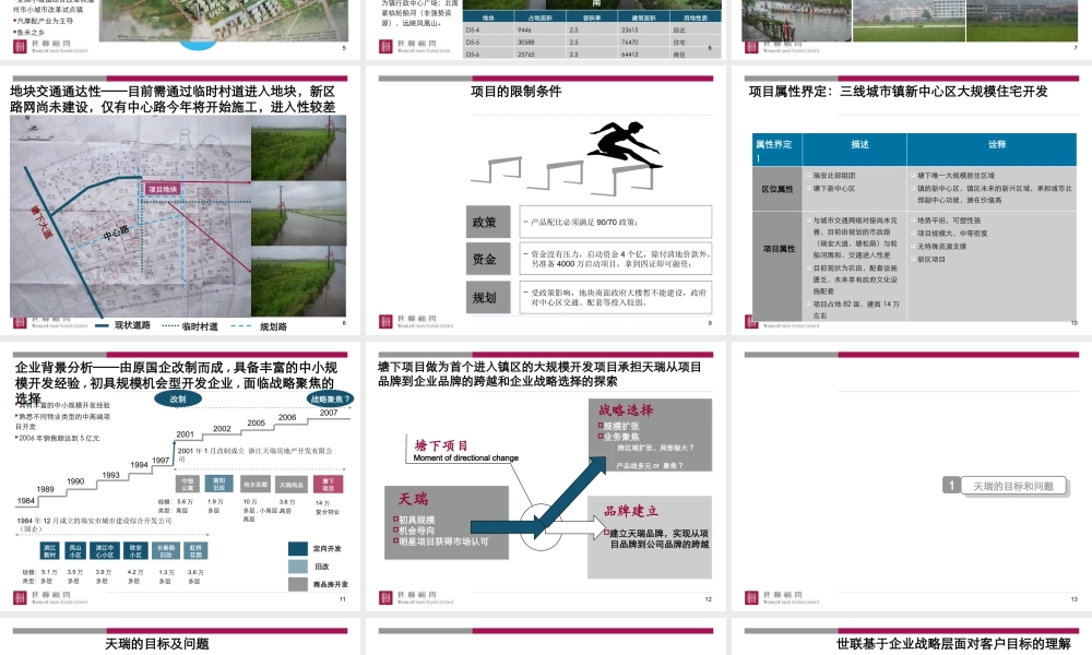 世联-天瑞温州瑞安塘下地产项目整体定位及发展战略-249PPT