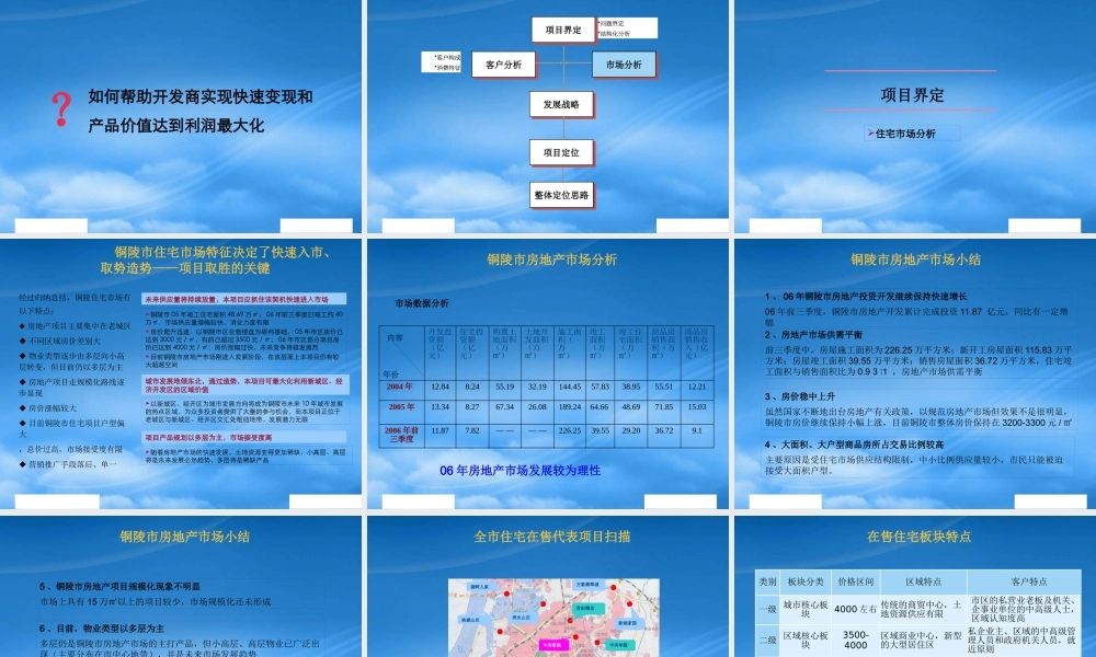 世联-铜陵康城项目提案报告-43