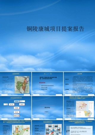 世联-铜陵康城项目提案报告-43