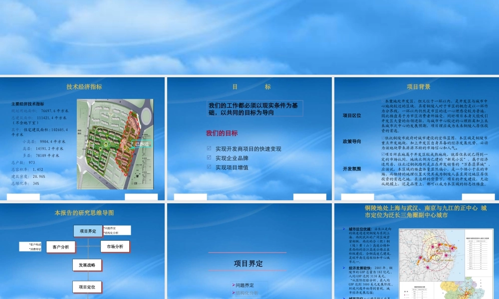 世联-铜陵康城项目提案报告-43PPT