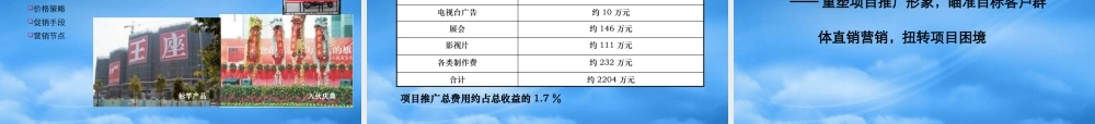 世联推广渠道策略