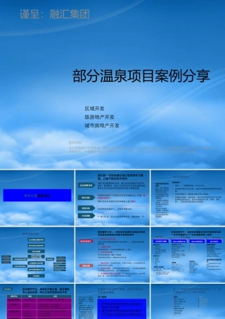 世联-温泉项目案例-49PPT