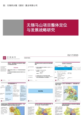 世联-无锡马山项目整体定位与发展战略研究