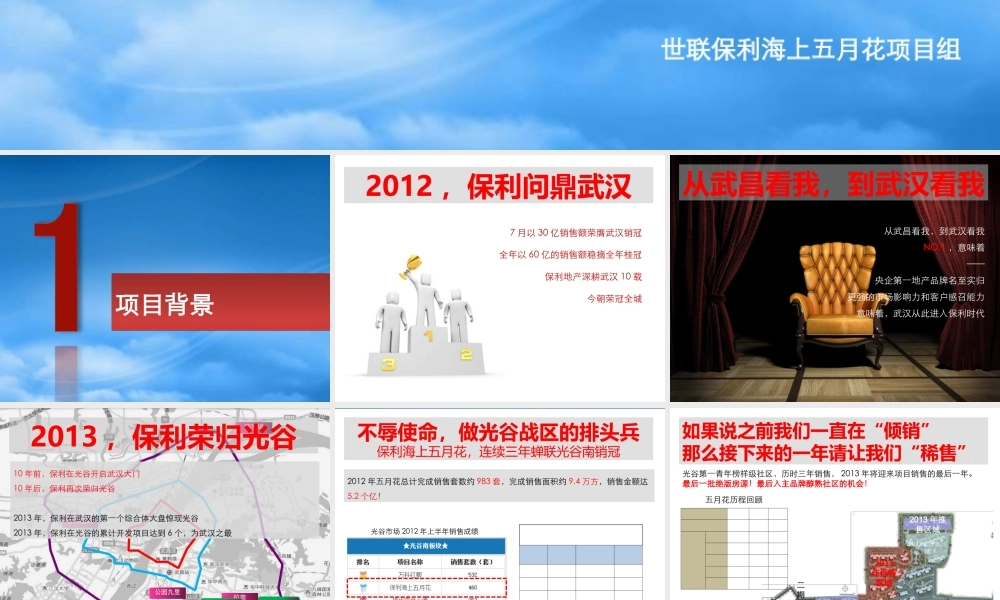 世联武汉某地产·海上五月花XXXX年年度策略总纲