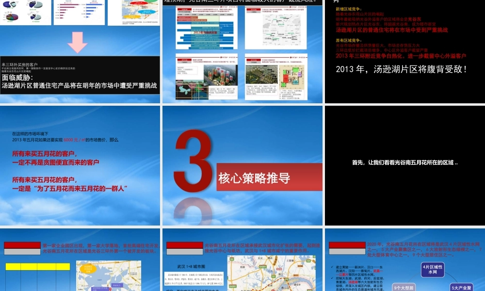 世联武汉某地产海上五月花XXXX年年度策略总纲105P