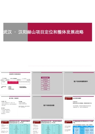 世联-武汉三江航天汉阳春江花月赫山地产项目定位和整体发展战略-171PPT