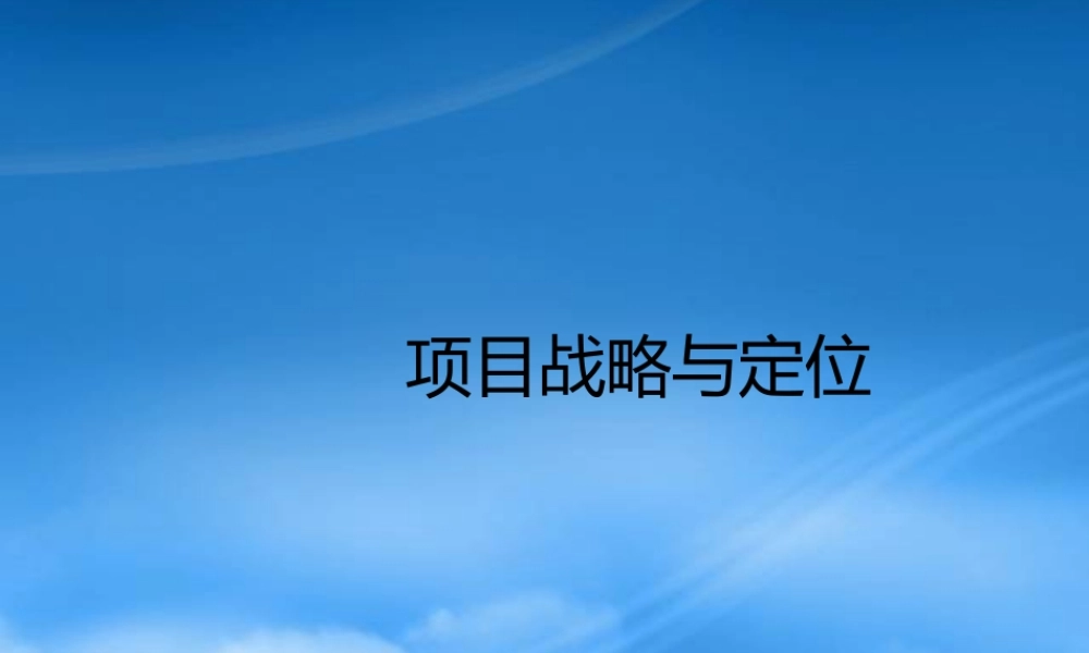 世联-项目战略与定位(整合版)