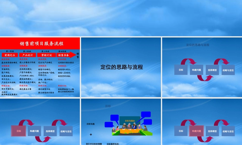 世联-项目战略与定位(整合版)