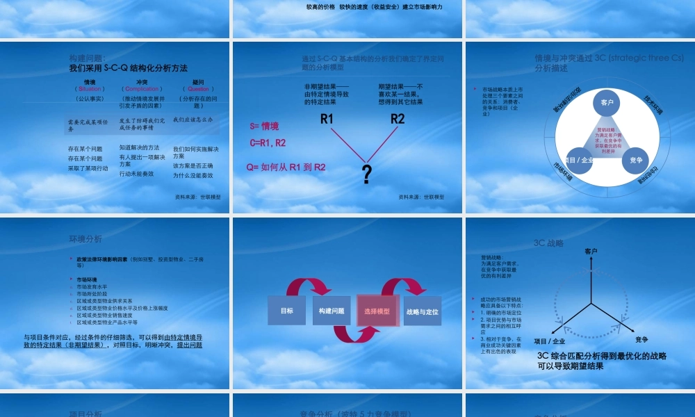 世联-项目战略与定位(整合版)