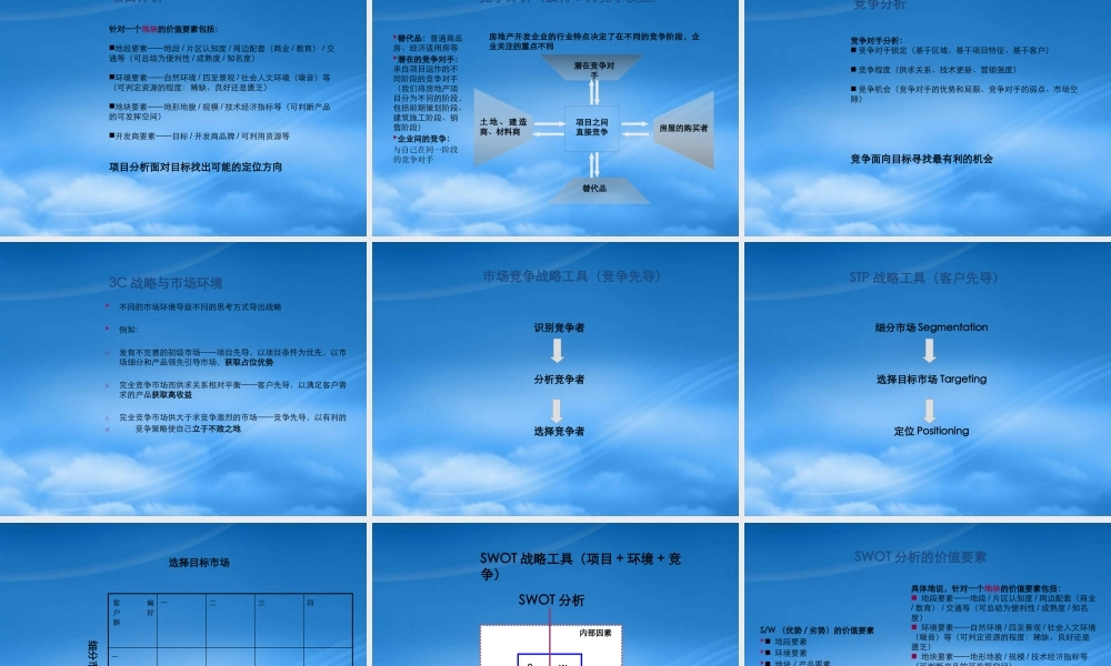 世联-项目战略与定位(整合版)
