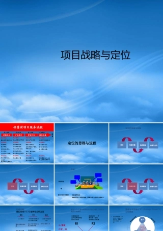 世联-项目战略与定位(整合版)