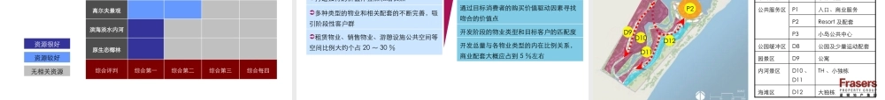世联-星狮地产三亚海棠湾项目整体定位和发展战略