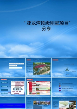 世联亚龙湾顶级别墅项目分享