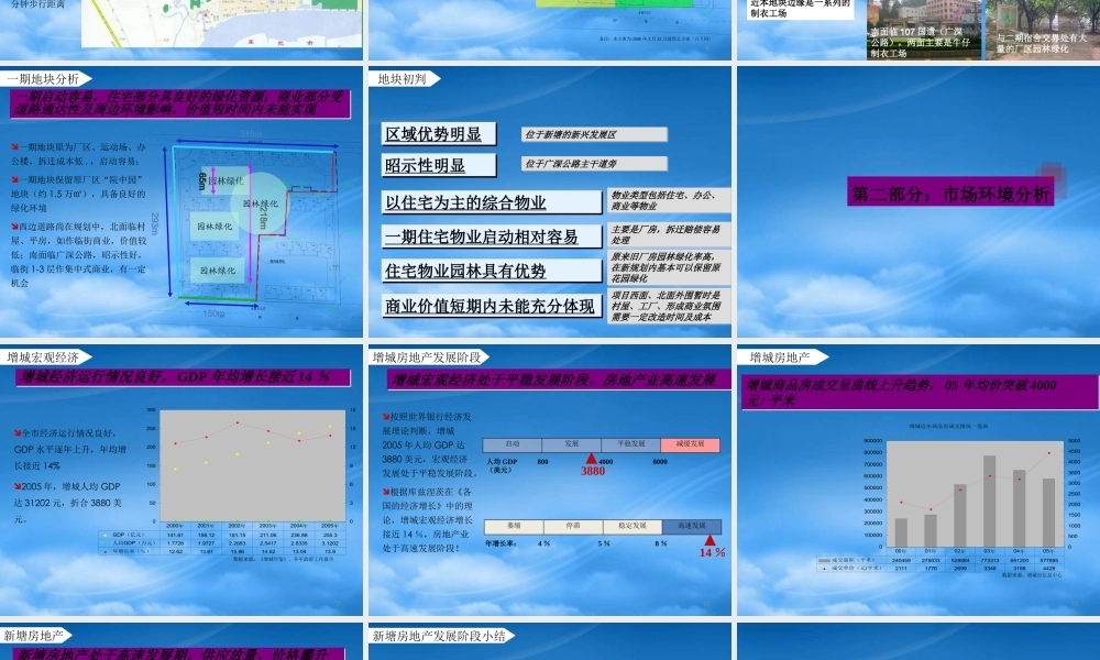 世联-增城九州新塘项目前期定位报告-86PPT