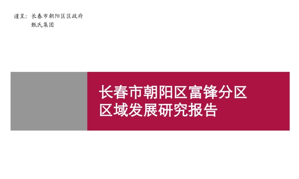 世联-长春富锋镇项目整体定位及发展战略 (NX)